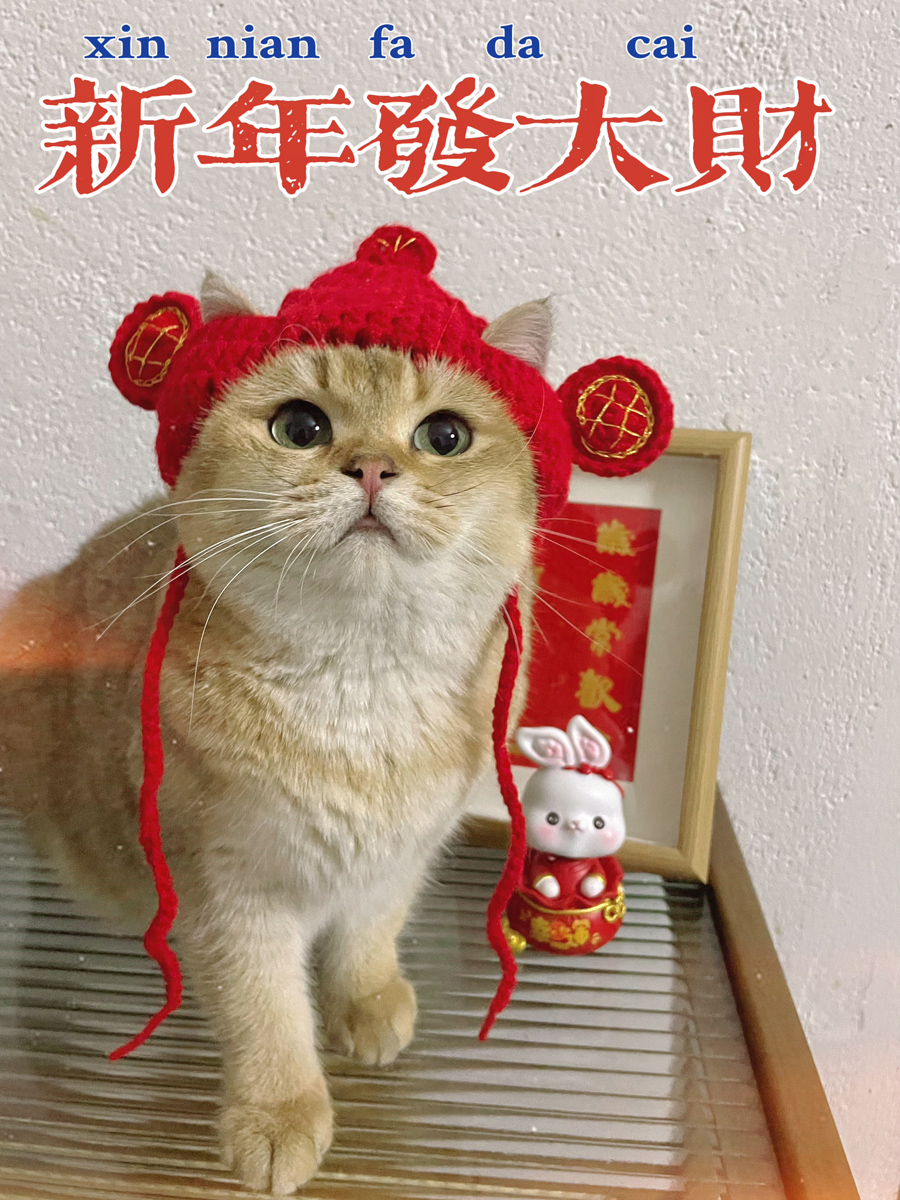 新年財神貓咪露耳帽迎財神頭飾毛線帽小貓頭套英短寵物裝飾品