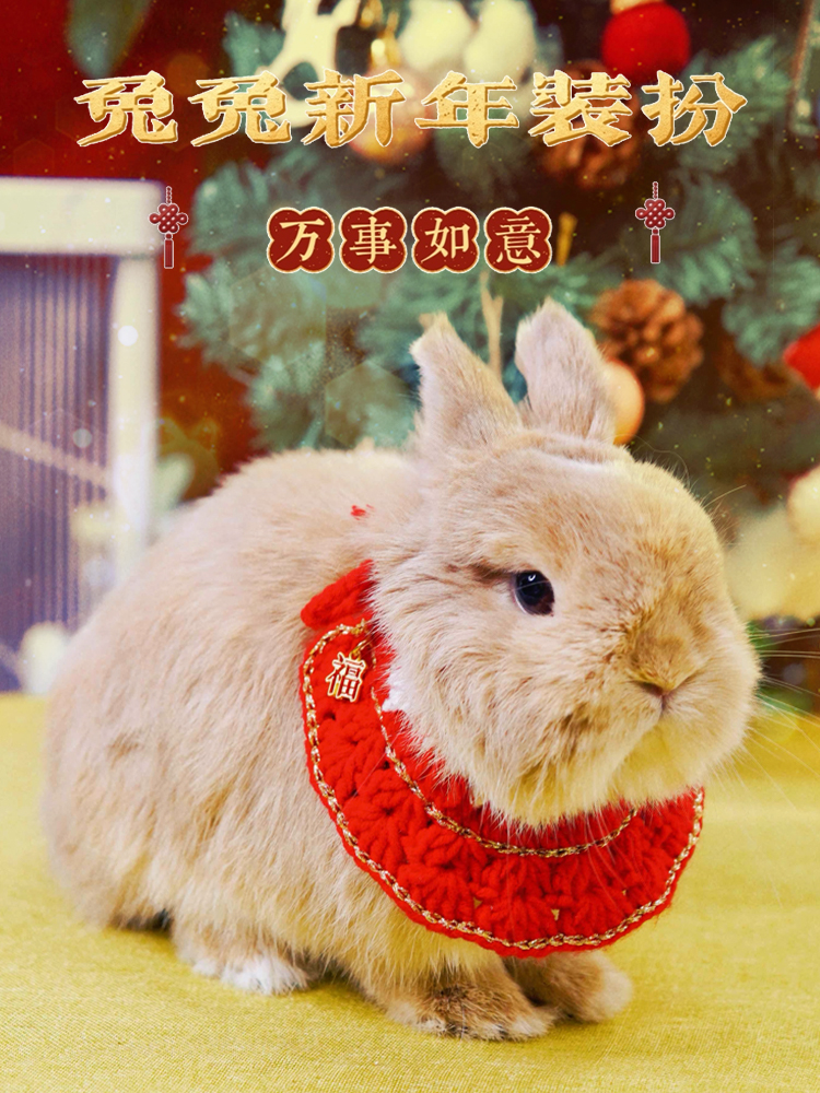 兔子衣服寵物兔子圍脖項圈可調節龍貓荷蘭豬過年喜慶衣服頸圈飾品