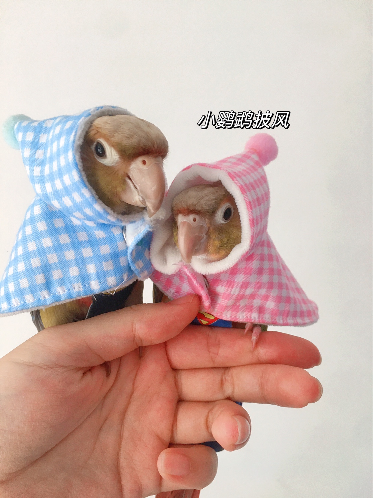 鳥衣服鸚鵡披風玄鳳加厚保煖外出服鸚鵡用品鳥用品 (8.3折)