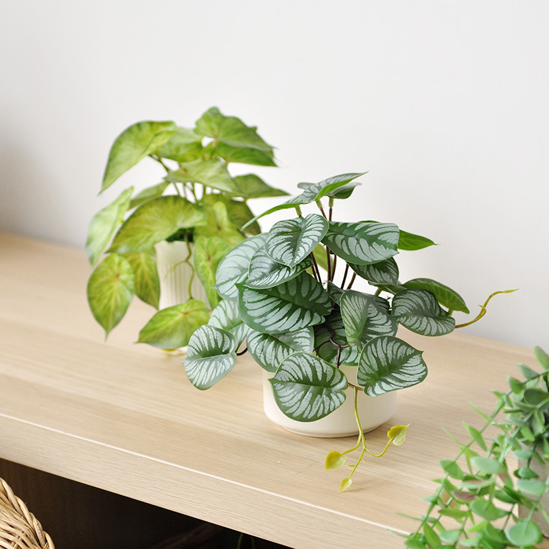 仿真綠植假植物龜背葉子桌擺仿生垂吊小盆栽裝飾擺件 (7.4折)
