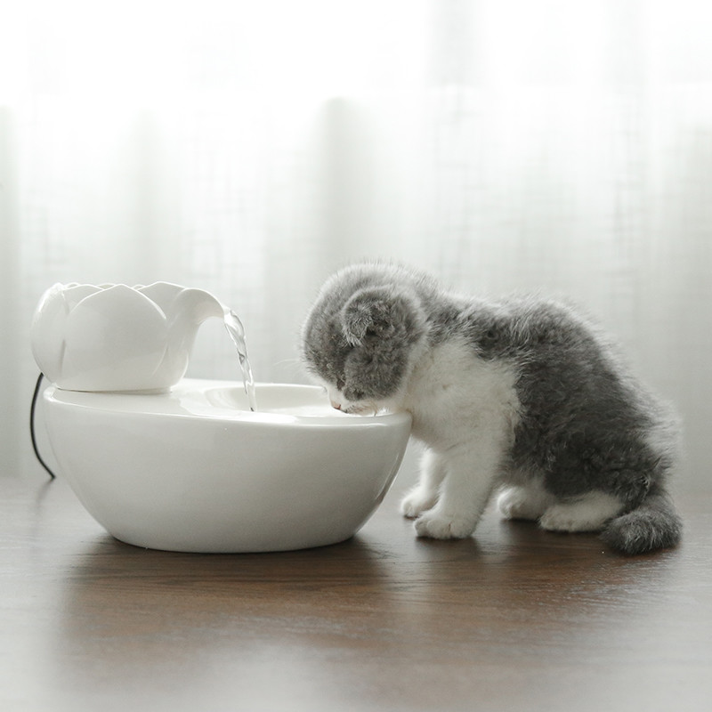 貓咪流動飲水機 自動循環多功能寵物狗用品陶瓷智能飲水器靜音立式