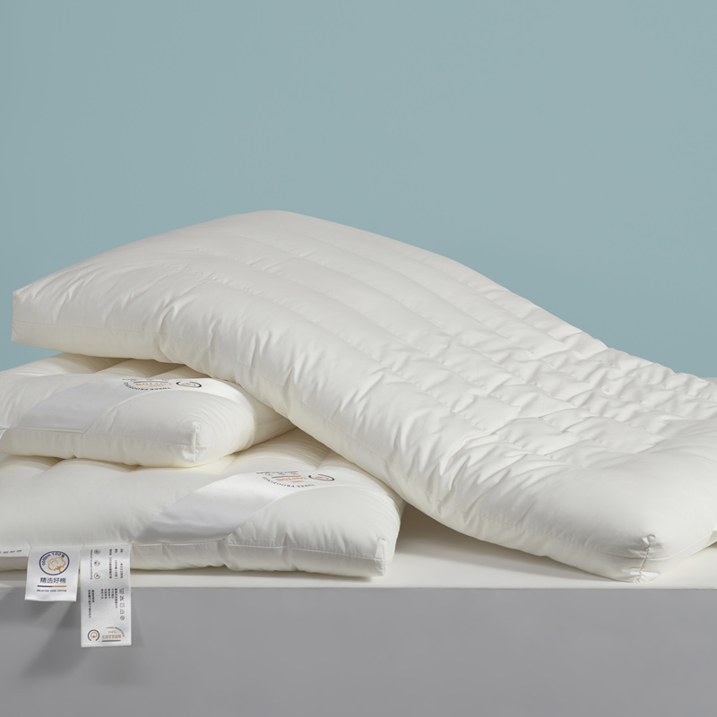 兒童學生成人枕頭枕芯一對裝純棉多功能科技定型枕
