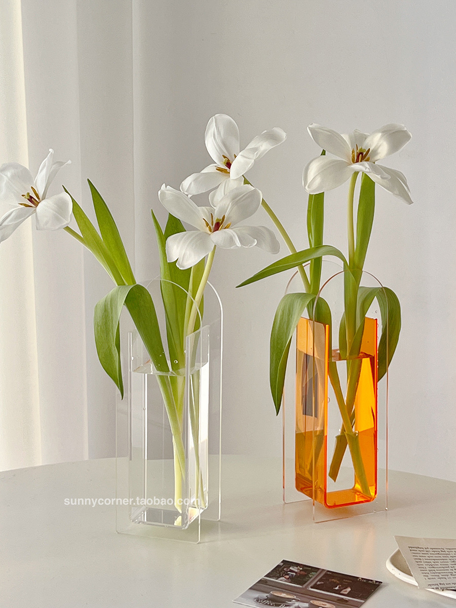 簡約風格透明壓克力花瓶裝飾客廳水養鮮花小物器皿插花