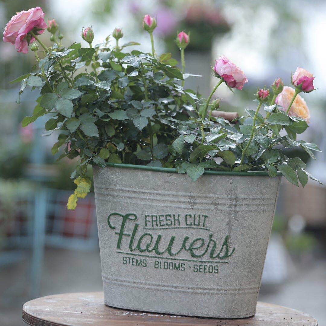 創意鐵皮花桶裝飾擺件 歐式風格花園花盆庭院戶外花卉花桶