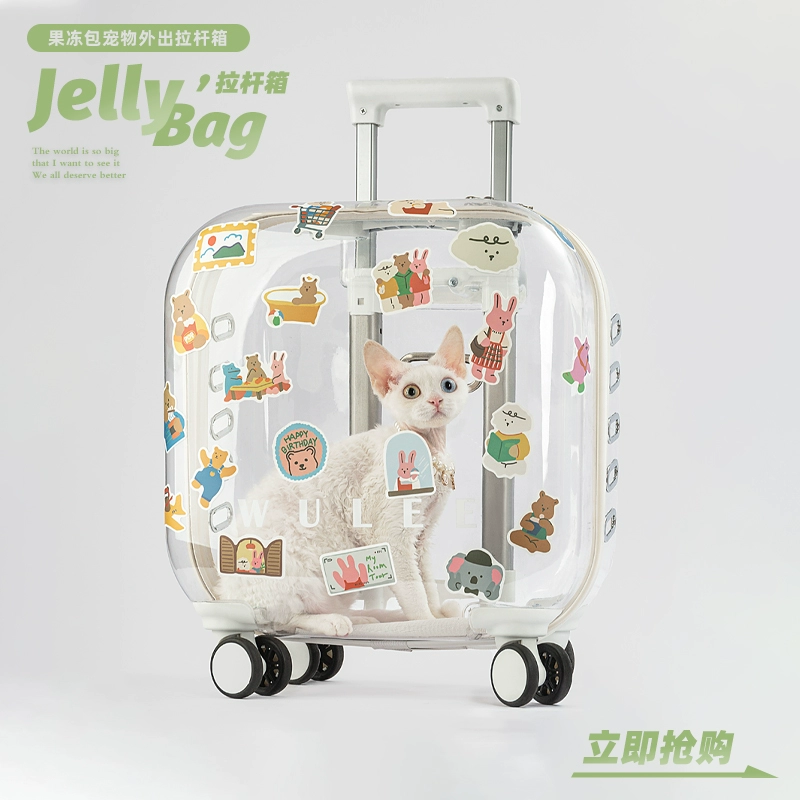 吾慄果凍貓咪貓包外出便攜太空艙寵物背包中型拉杆箱通用寵物用品