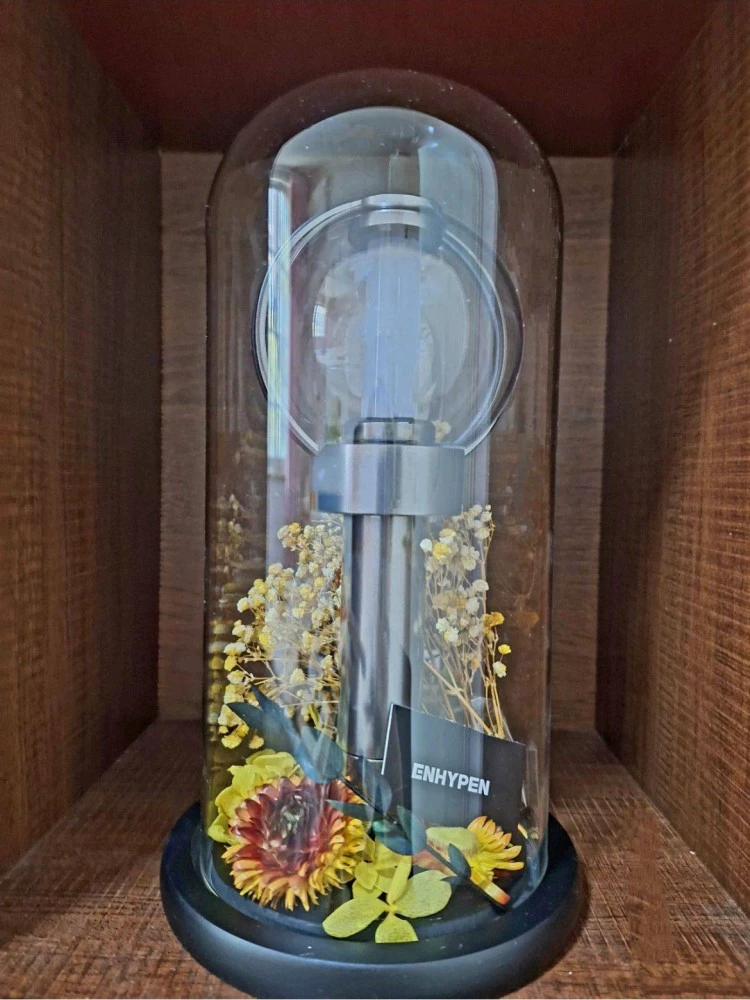時尚簡約玻璃罩紀念品展示盒永生花收藏盒網紅擺件 (7.8折)