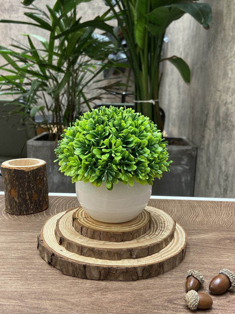 創意小盆栽  辦公室仿真花  桌面擺飾裝飾品 (8.3折)