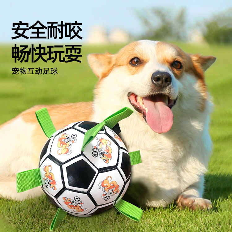 狗狗球玩具專為中小型犬訓練足球互動解悶寵物用品