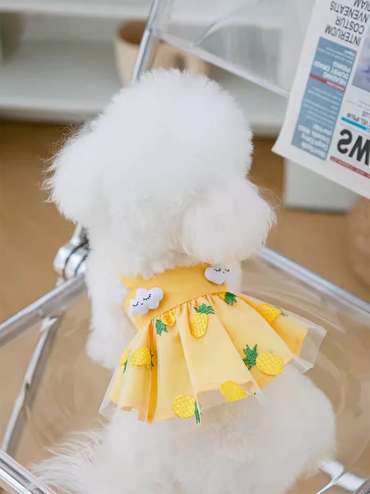 可愛狗狗公主紗裙菠蘿夏天薄款透氣貓咪連衣裙子泰迪比熊寵物衣服