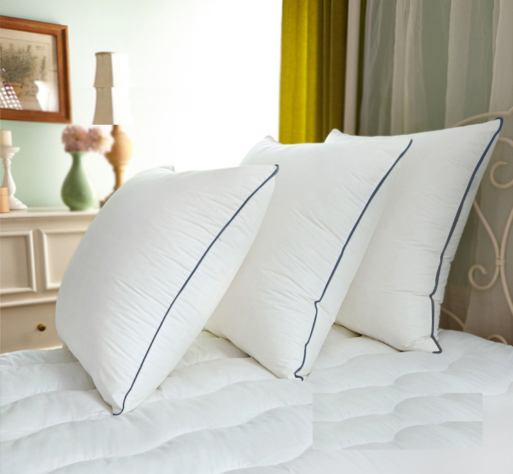 出口純色棉製簡約現代風格抱枕芯 適合沙發靠墊使用