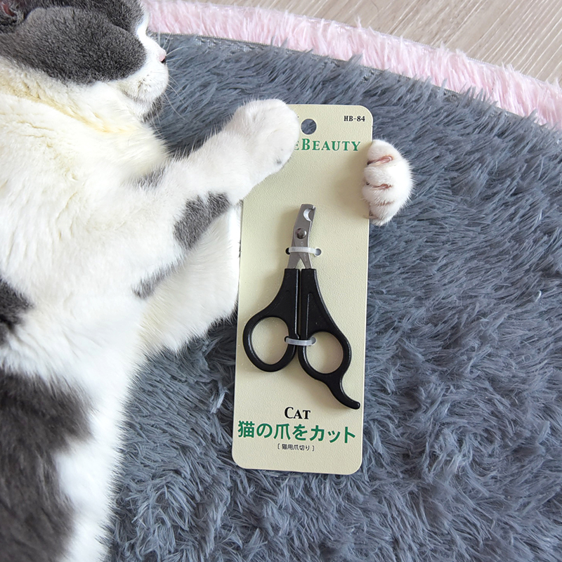 多格漫寵物貓咪指甲剪 專業級寵物指甲刀 輕鬆安全修剪寵物指甲 多款選擇 貓咪用品