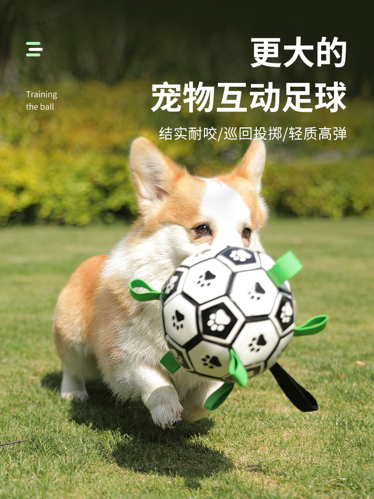 狗狗玩具球 寵物用品 耐咬寵物球 訓練專用狗足球 (4.6折)