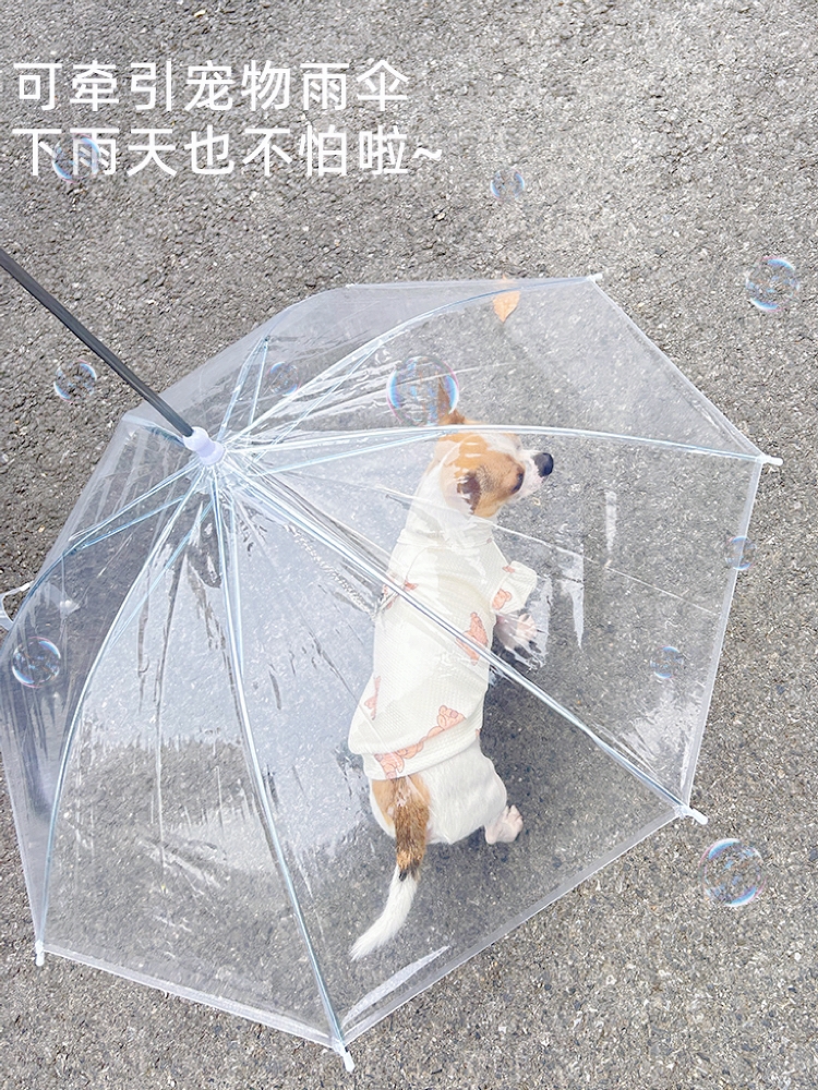 寵物專用狗狗雨繖下雨遛狗神器柯基雨衣狗用雨繖透明泰迪中小型犬