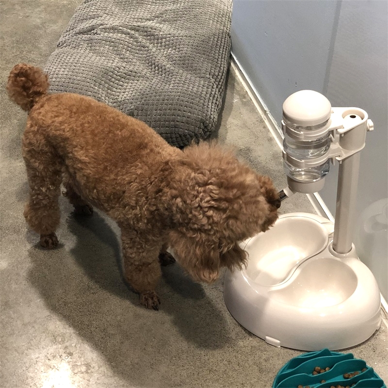 狗狗貓咪自動喂水機掛式水壺寵物單雙碗喝水器 帶儲糧桶Hoopet品牌