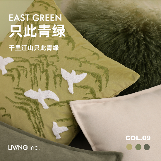 只此青綠抱枕沙發客廳靠墊辦公室輕奢現代風東方美學山鳥