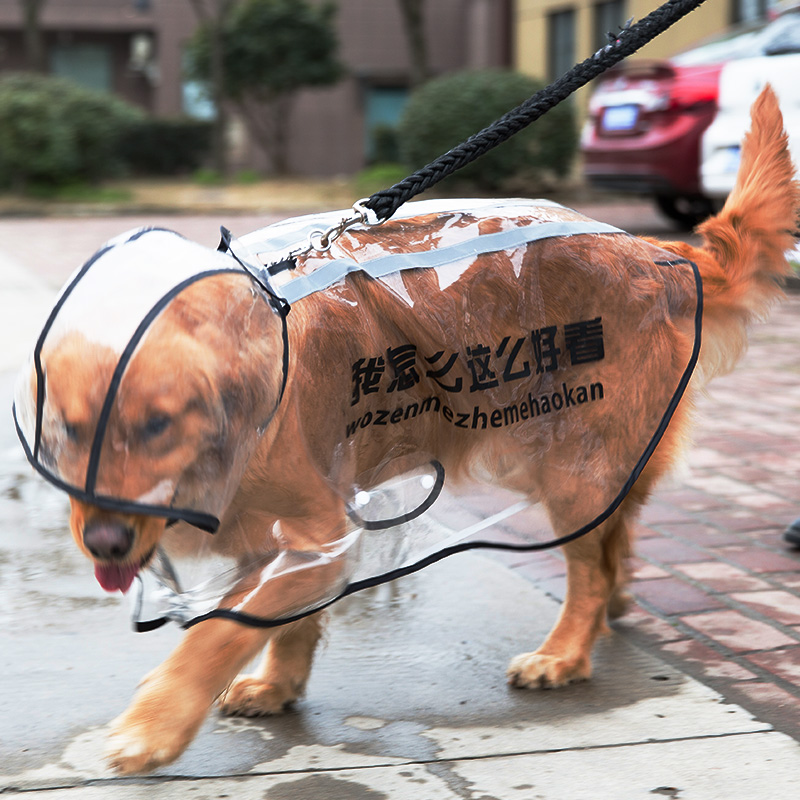 狗狗雨衣 大型犬 中型犬 薩摩 金毛 拉布拉多 防水 大狗 雨傘 寵物 斗篷 雨披