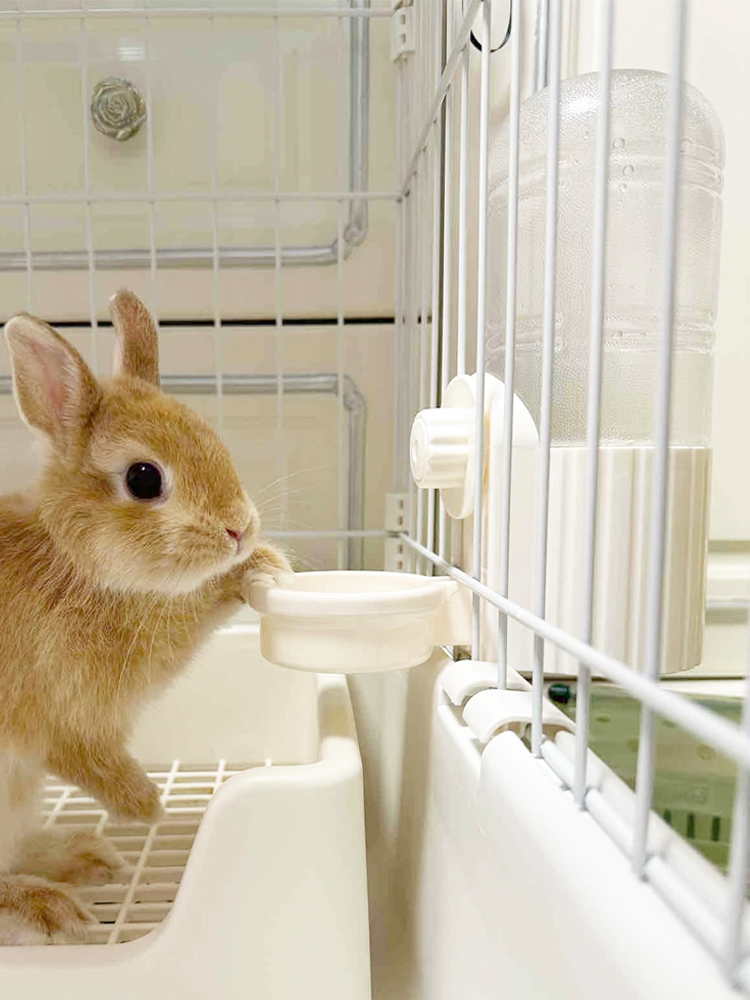 兔子飲水器水碗 專用水壺 豚鼠金絲熊水槽 小寵用品不溼嘴大容量