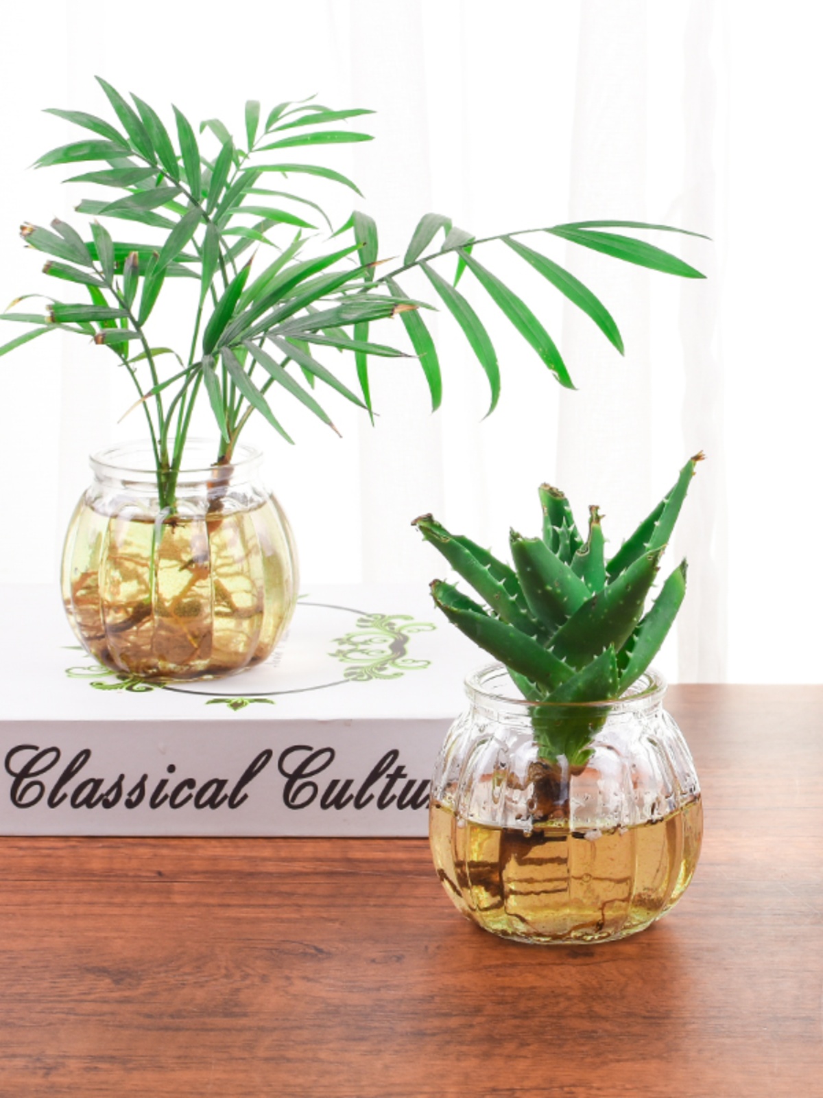 小清新裝飾擺件插花瓶歐式創意簡約水培綠蘿植物透明玻璃瓶