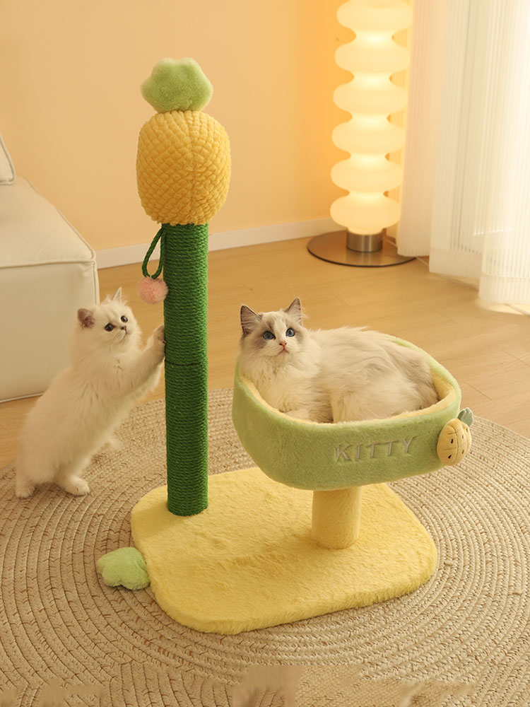 貓爬架貓窩貓樹一躰小型貓架貓咪玩具不佔地貓抓板抓柱跳台貓架子