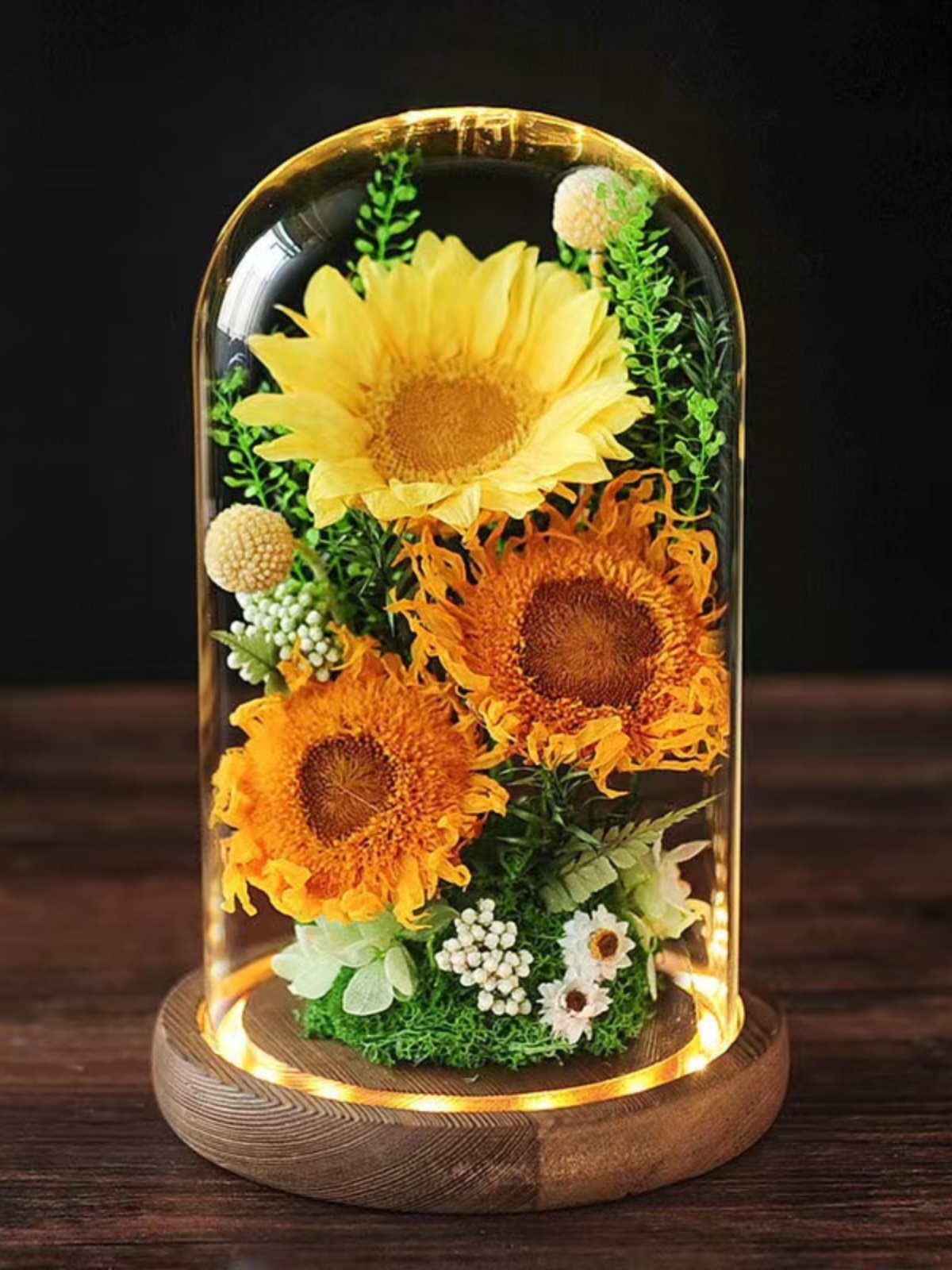 創意玻璃罩永生真花向日葵擺件送禮佳品點綴家居生活