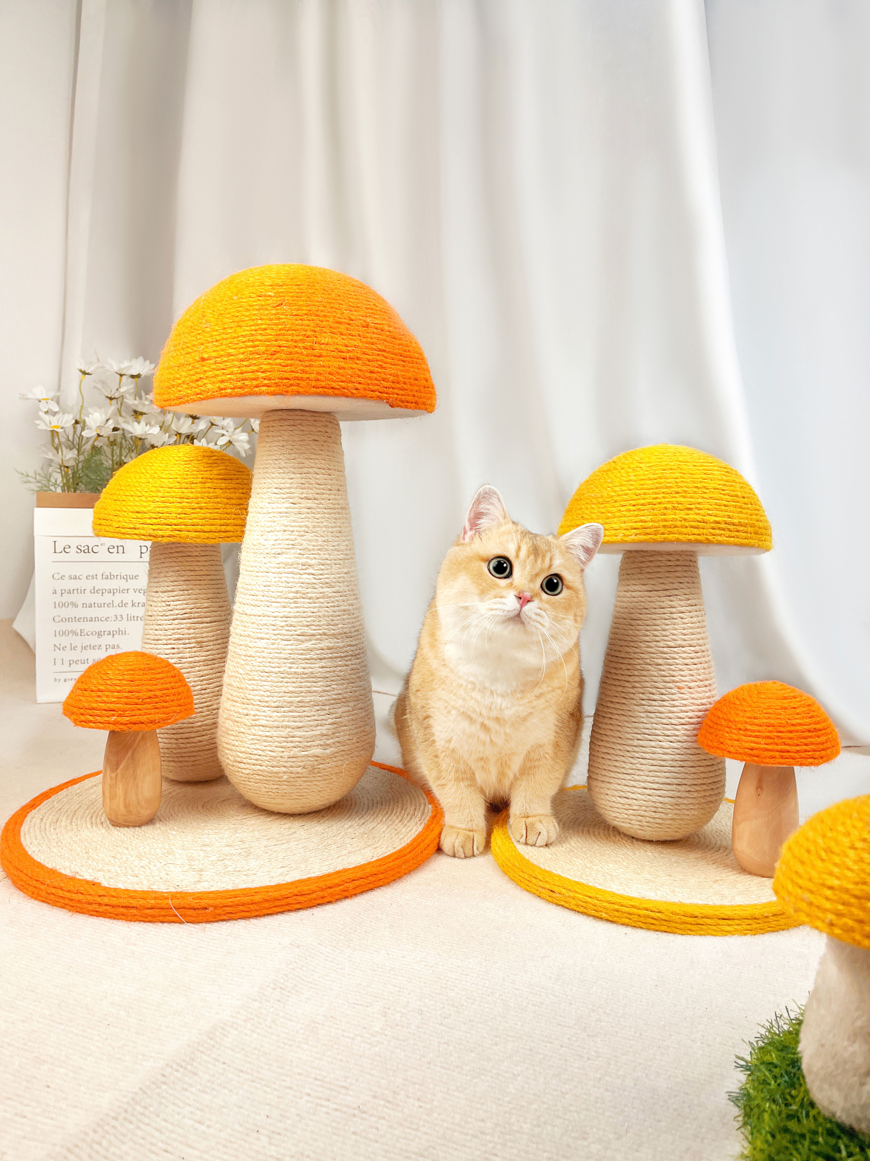 蘑菇造型貓抓板 耐磨不掉屑 貓咪磨爪神器 立式貓跳台