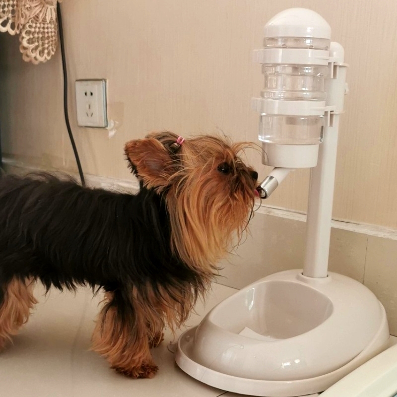 寵物自動掛式飲水機不溼嘴比熊喝水器貓咪喂水器立式水壺 (2.1折)