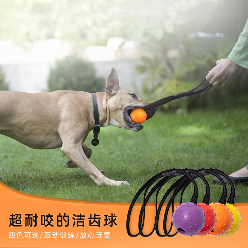 狗狗訓練耐咬彈力球 橡膠材質小型中大型犬馬犬邊牧磨牙玩具球