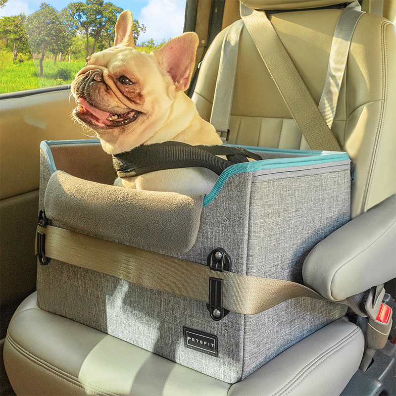 寵物外出必備貓狗車載安全座椅守護毛孩旅途安全