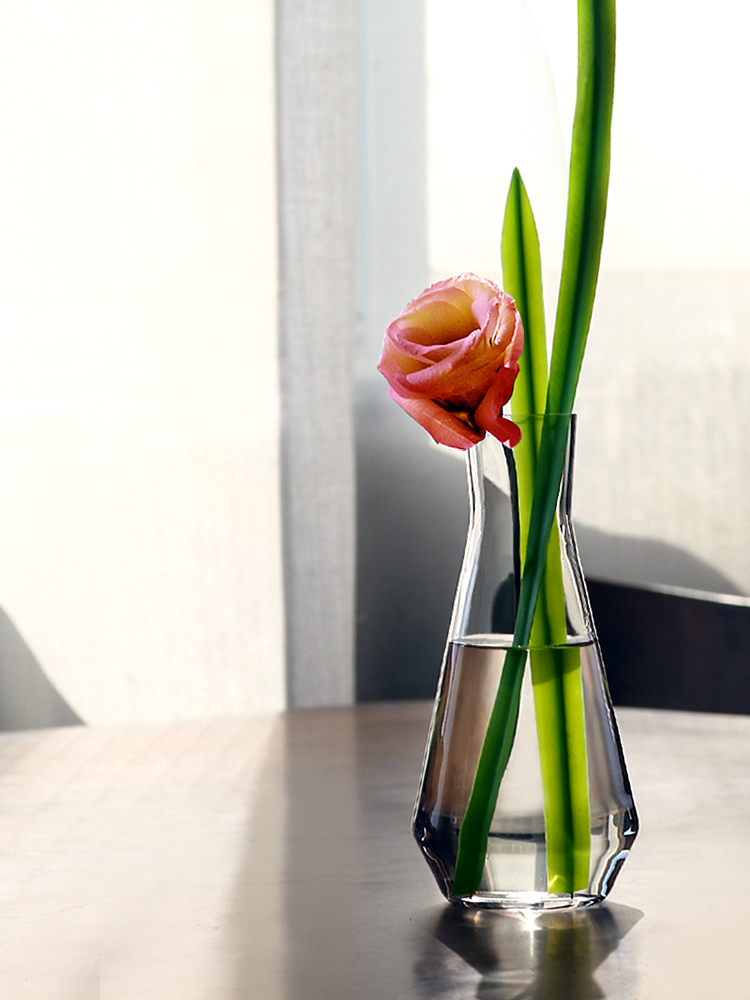 北歐風玻璃花瓶透明水培簡約現代花器餐桌客廳插花擺件家居裝飾大號