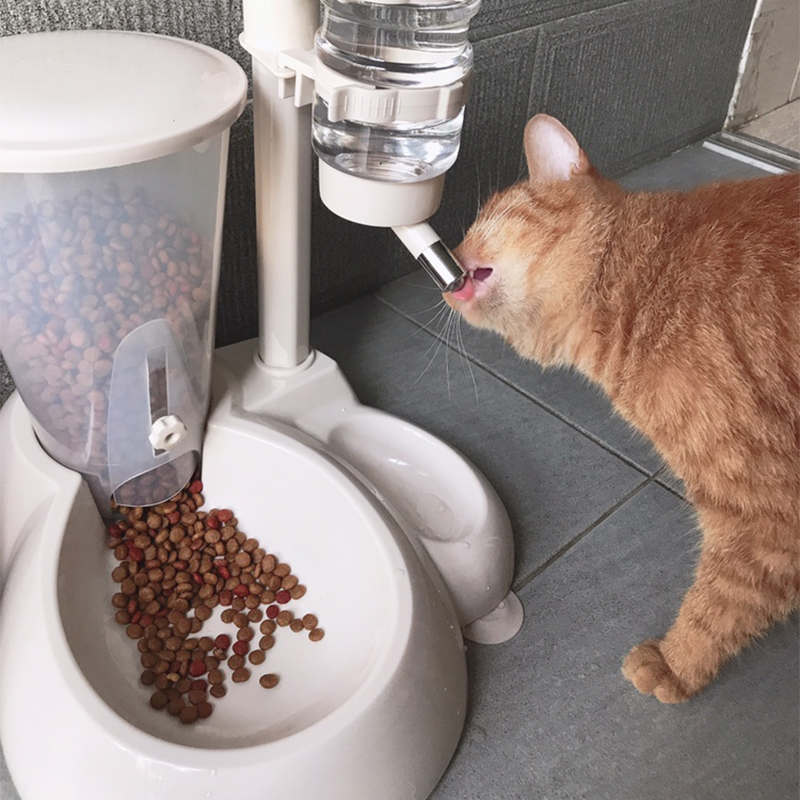 貓咪自動餵食器二合一餵貓機定點投食器大容量貓飲水喂水餵貓一體