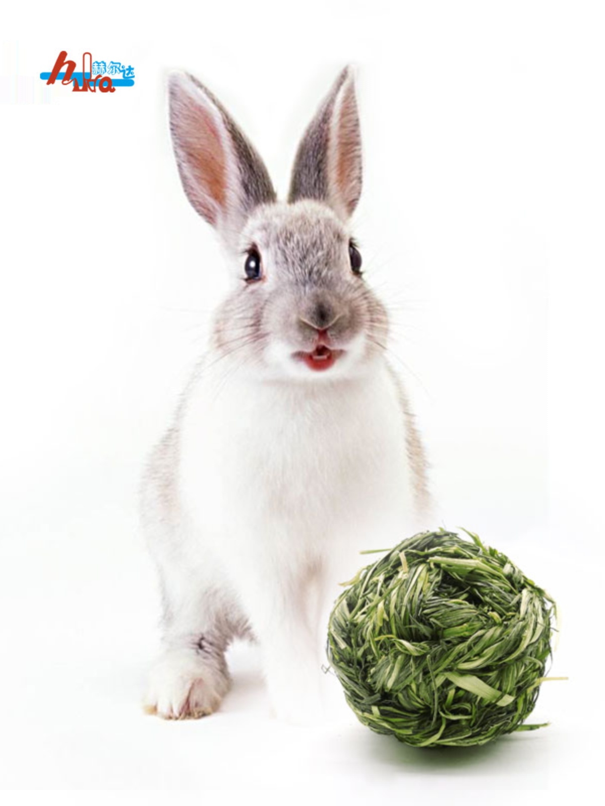 兔兔玩具用品寵物兔子解悶果樹實心草球手工編制赫爾達大草麻花