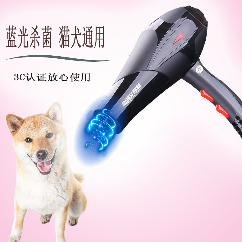 狗狗吹風機 專業寵物吹毛機 大小型犬通用 吹水機 泰迪金毛貓咪適用 大功率 吹毛烘乾機