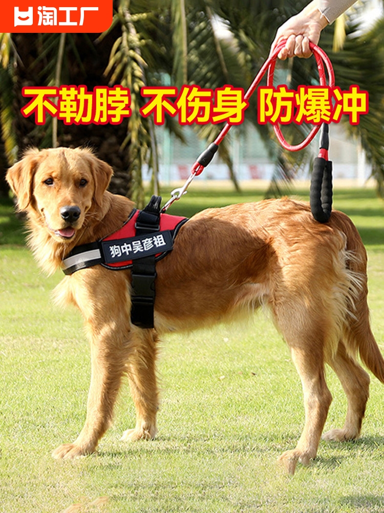 超舒適寵物胸背式牽引繩 15米加厚尼龍繩 可調節 適合小型大型犬