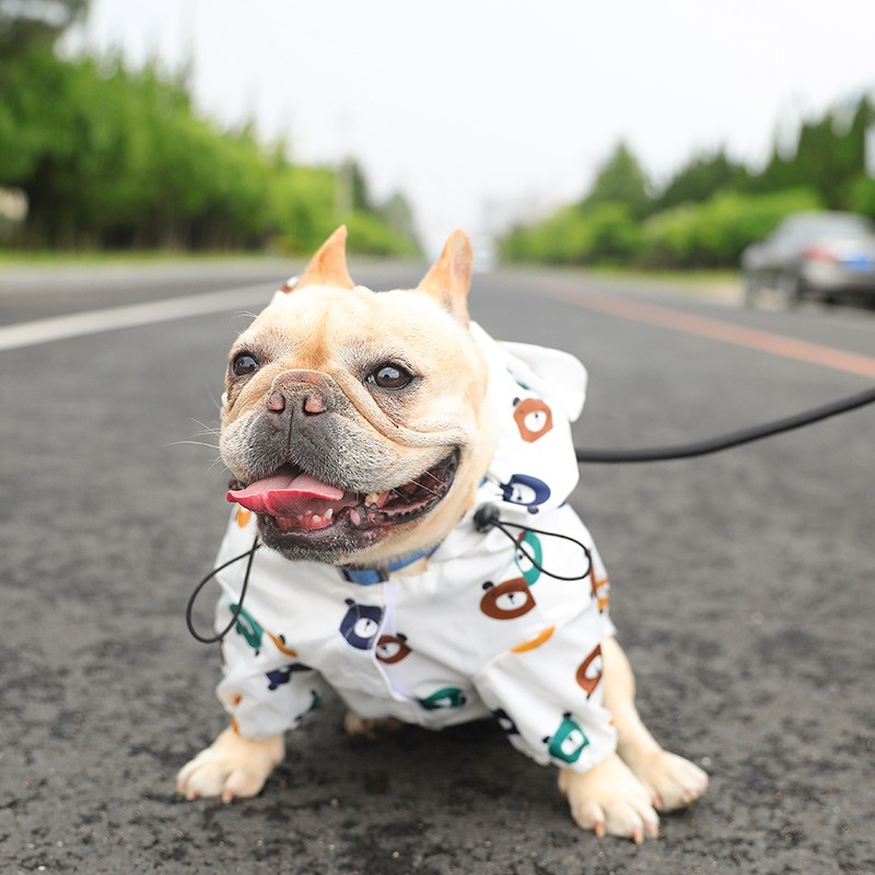 法鬭雨衣寵物狗狗可愛創意雨披小蜜蜂夏季薄款中小型犬寵物衣服