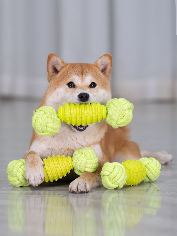 狗狗寵物球形玩具 耐咬除口臭潔齒解悶獨處小型犬
