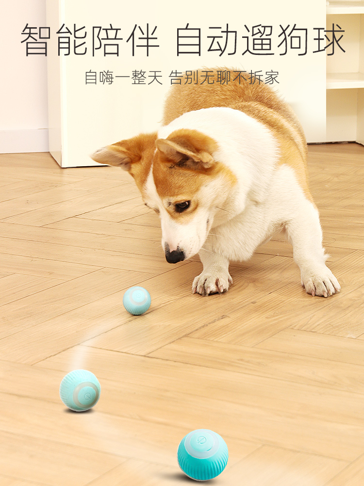 寵物智能自動遛狗球 自嗨解悶 狗狗玩具球 逗狗神器