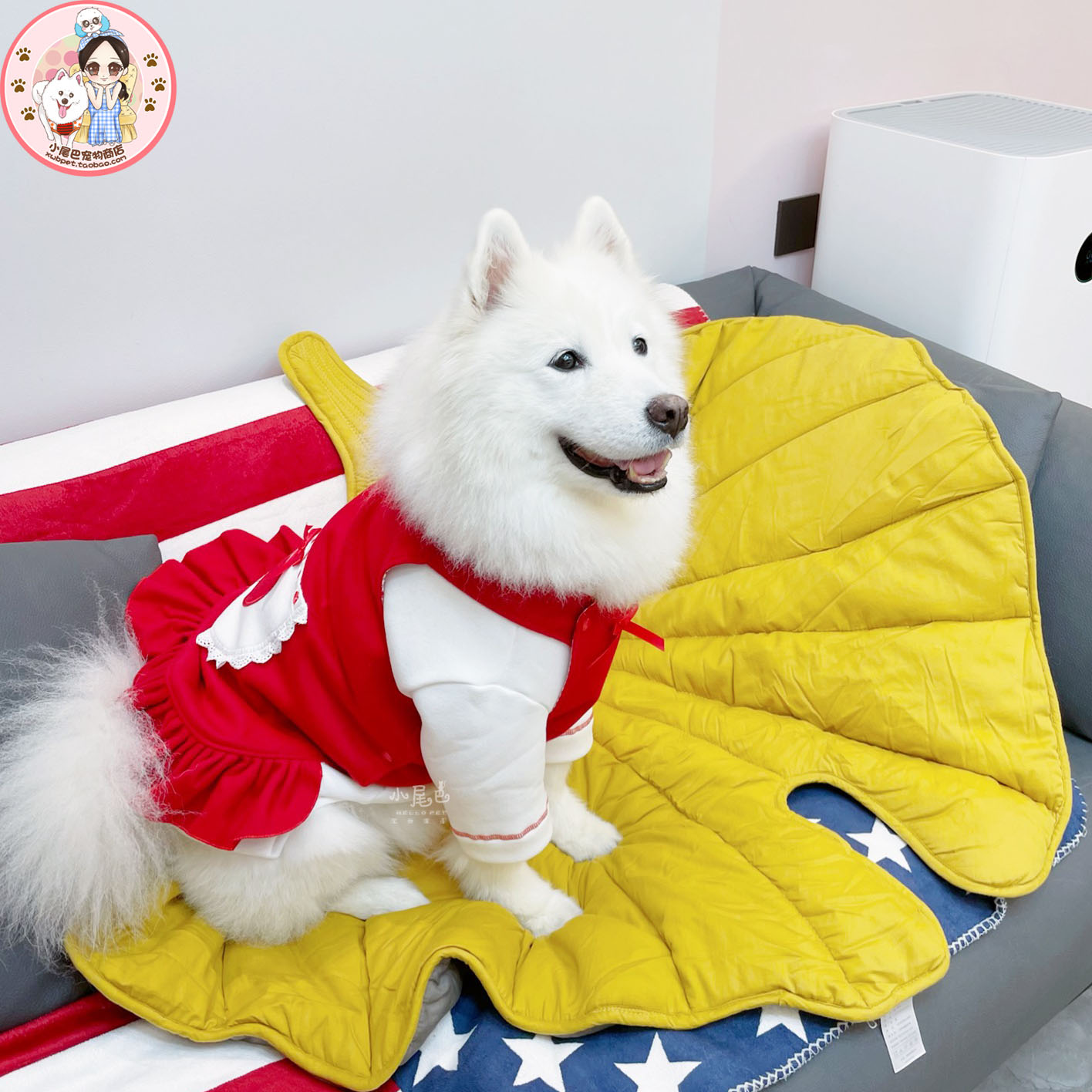 中大型犬保暖娃娃裙兩件套新年聖誕公主連身裙 (8.3折)