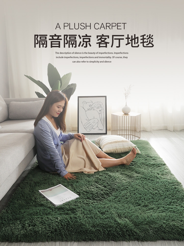 現代簡約風格地毯 客廳臥室床邊墊 柔軟舒適長絨款