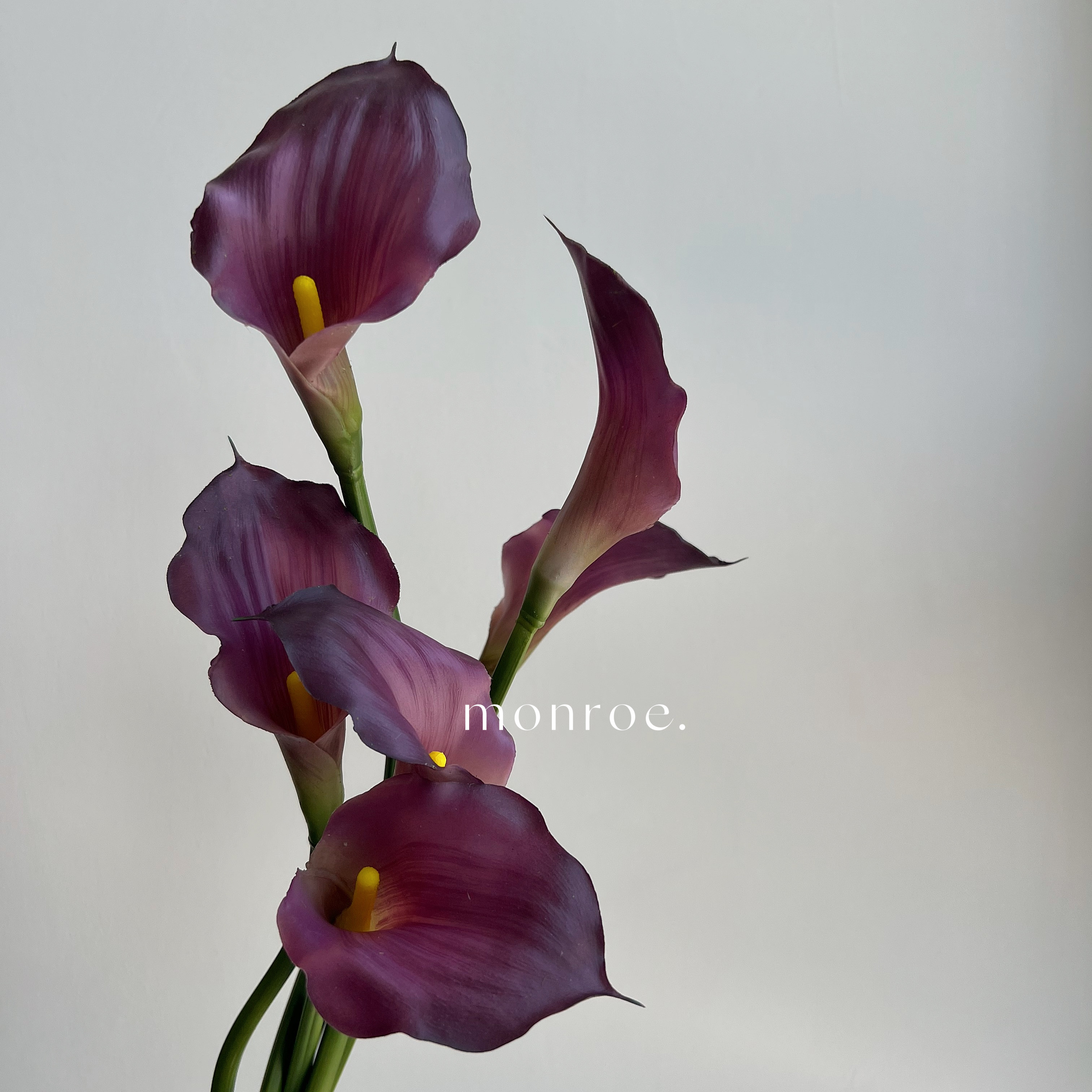 海芋花束紫色假花絹花高檔人工插花裝飾攝影