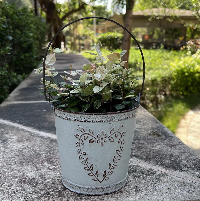 復古風格鐵質花盆精緻花園擺件心型無洞設計提升居家品味