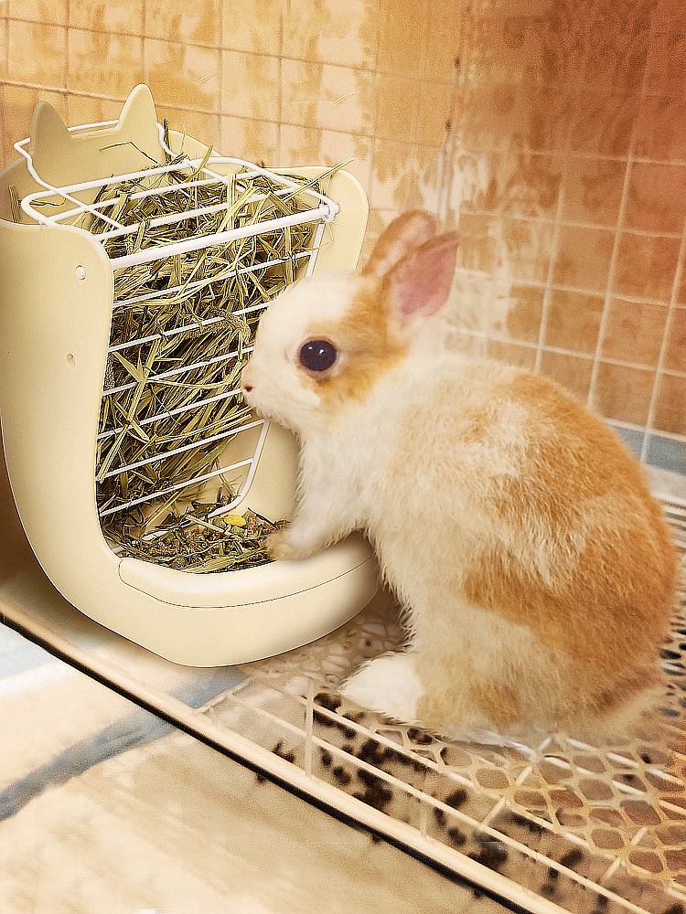 拉士格兔子食盆二郃一兔碗食槽固定防扒喂食器龍貓糧飼料食盒草架 (6.1折)