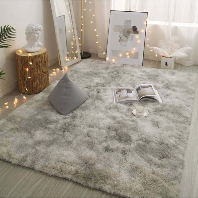 北歐風情客廳床臥室地毯 毛絨網紅床邊少女毛毯地毯 (4.5折)