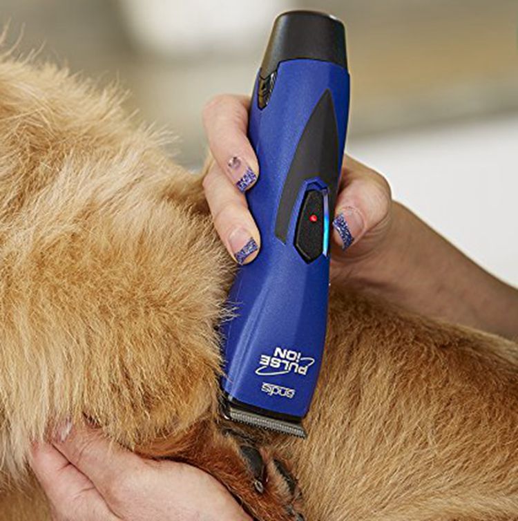 Andis寵物電推剪 可調節寵物毛髮長度 無線充電式通用 (8.3折)