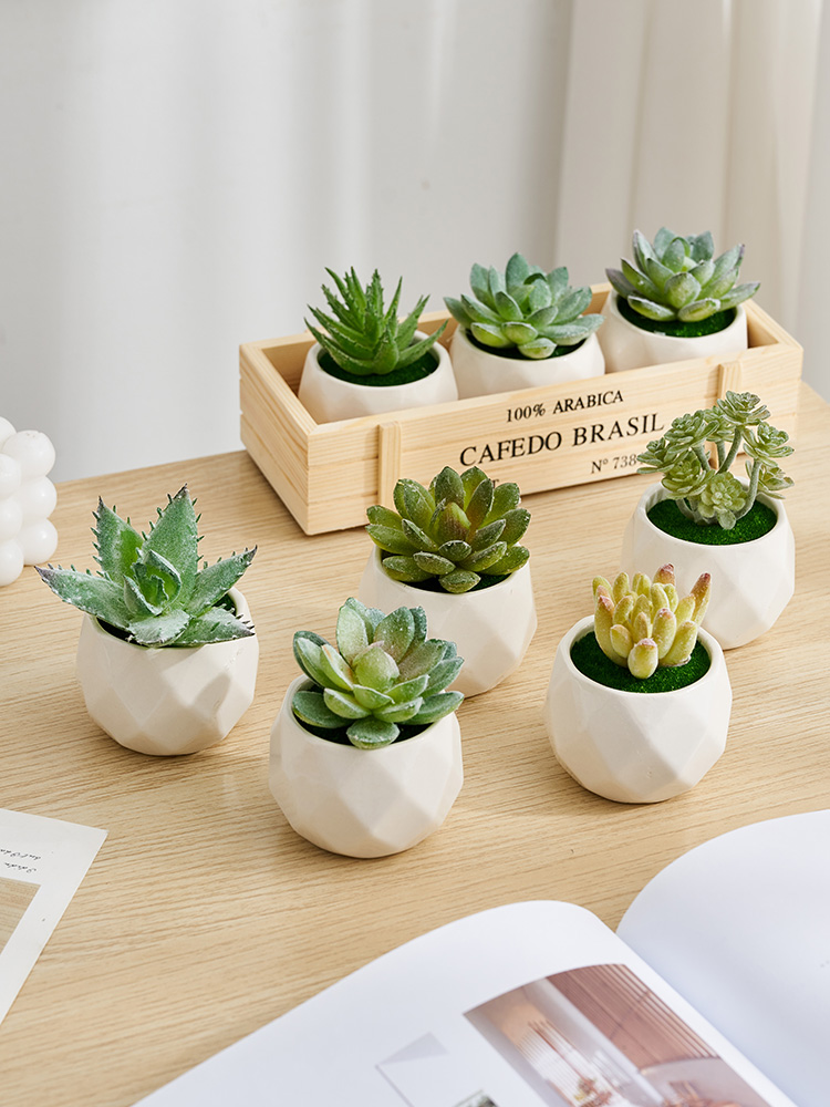 現代簡約仿真綠植小盆栽陶瓷材質適合客廳家居辦公室裝飾 (6.5折)