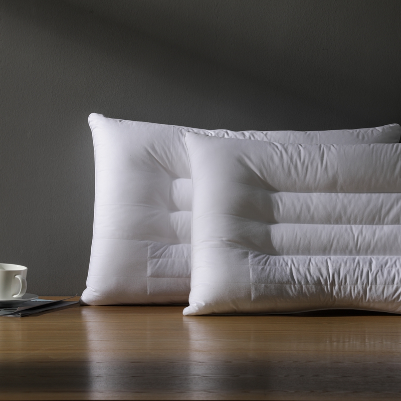 兩面用決明子枕頭軟硬適中棉質親膚單人枕芯