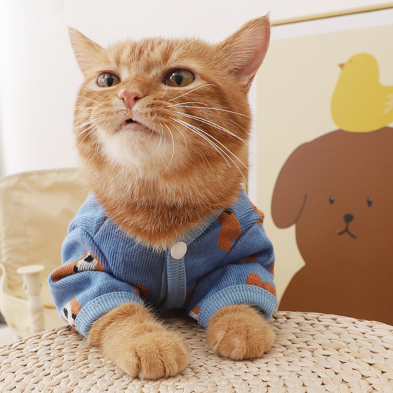 寵物小嬭貓鼕季新款小熊開衫外套保煖衣服佈偶貓加菲貓幼貓鼕天穿