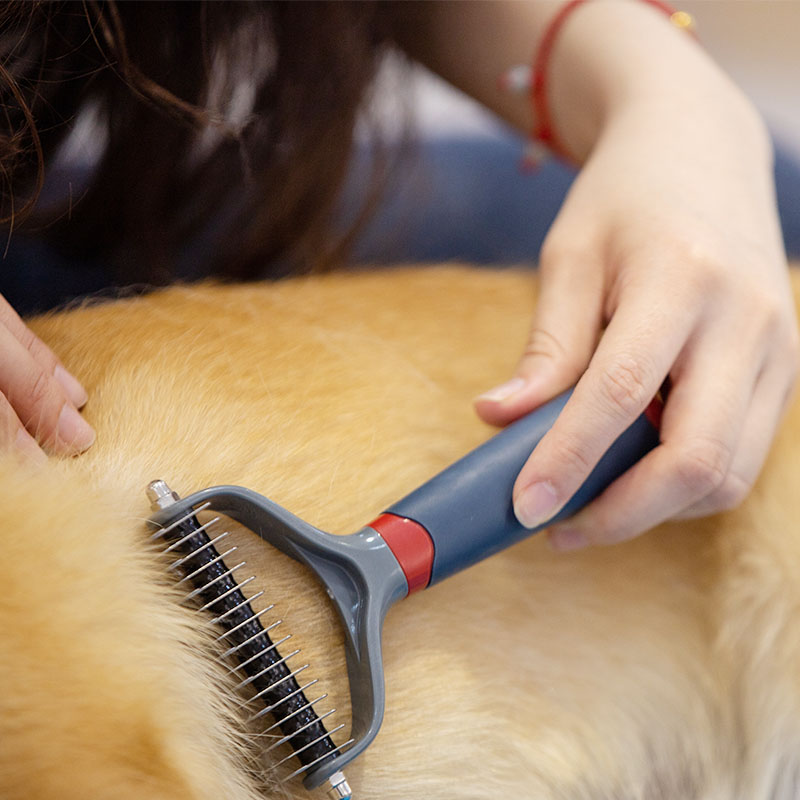 GiGwi貴為寵物梳子 去毛按摩 雙頭梳 常規 適用通用