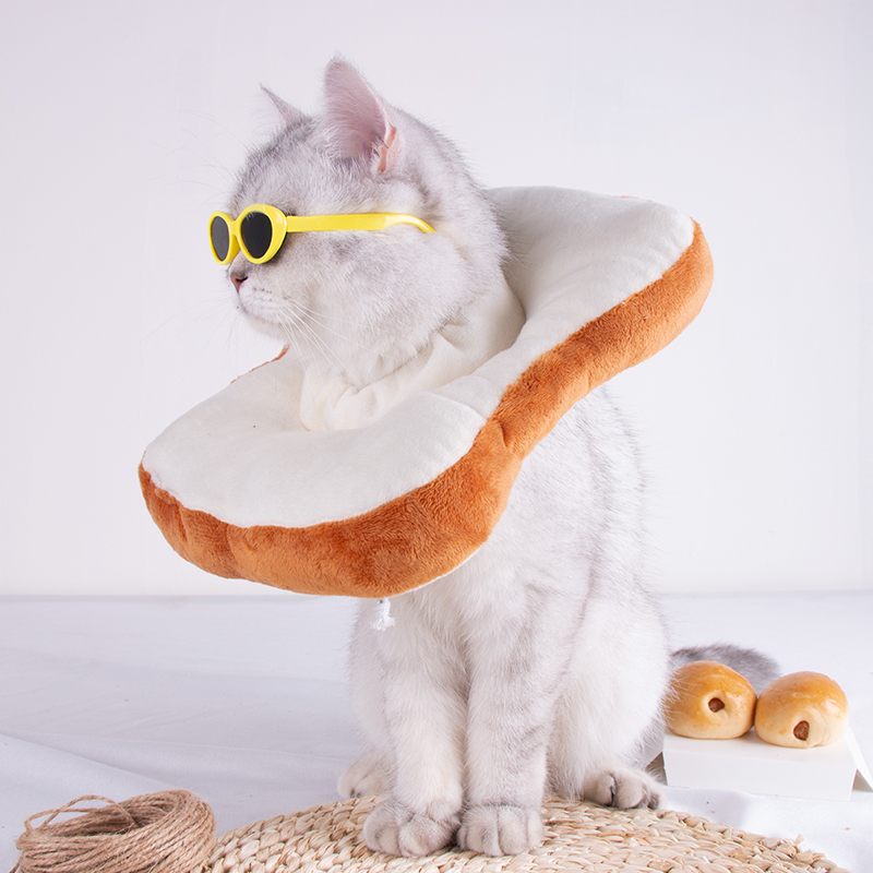 搞笑寵物貓咪頭套伊麗莎白圈小貓恥辱項圈網紅吐司麪包貓頭套飾品 (6.5折)