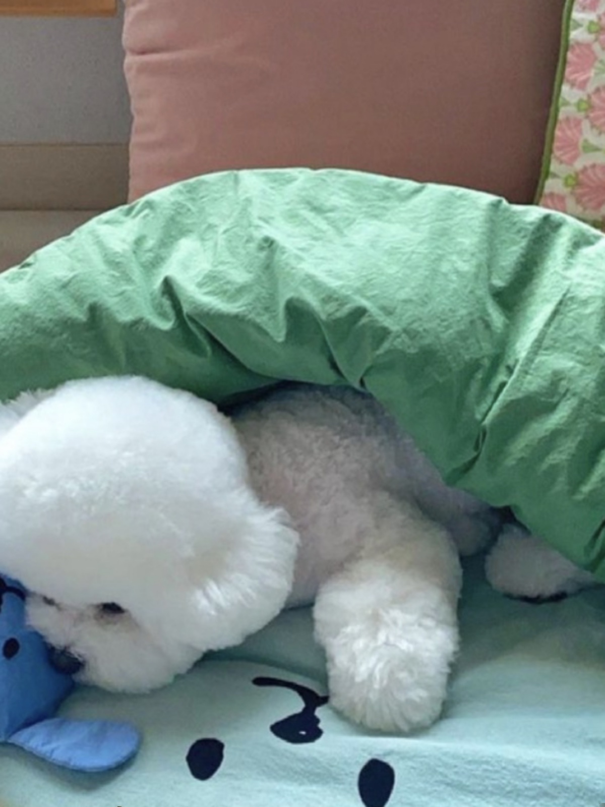 韓國INS鞦鼕蓬松舒適睡袋被子 推車墊半包圍寵物狗窩貓咪窩可拆洗 (6.6折)