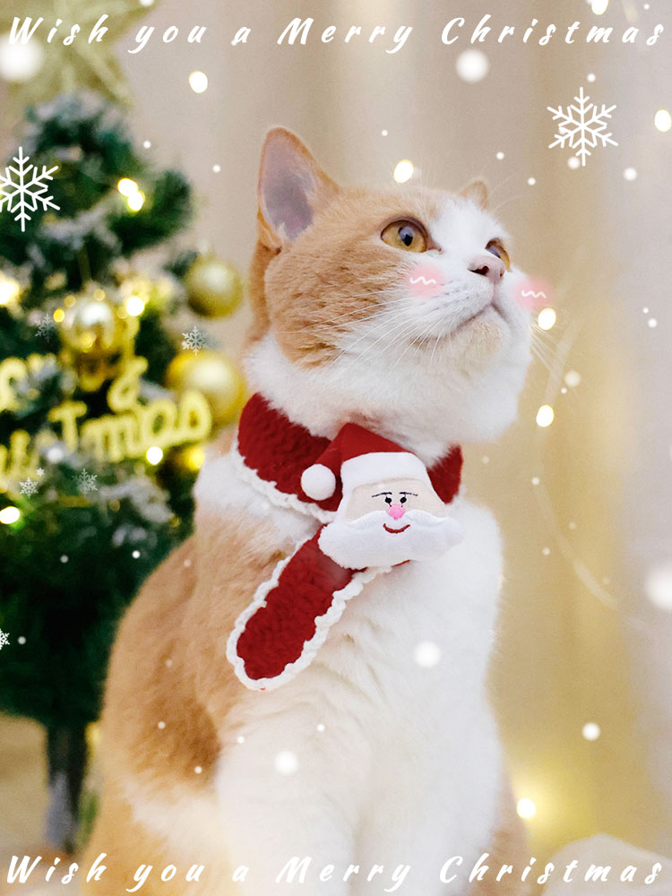 寵物聖誕節圍巾可愛紅色貓咪項圈手工編織裝扮狗狗聖誕帽飾品圍脖
